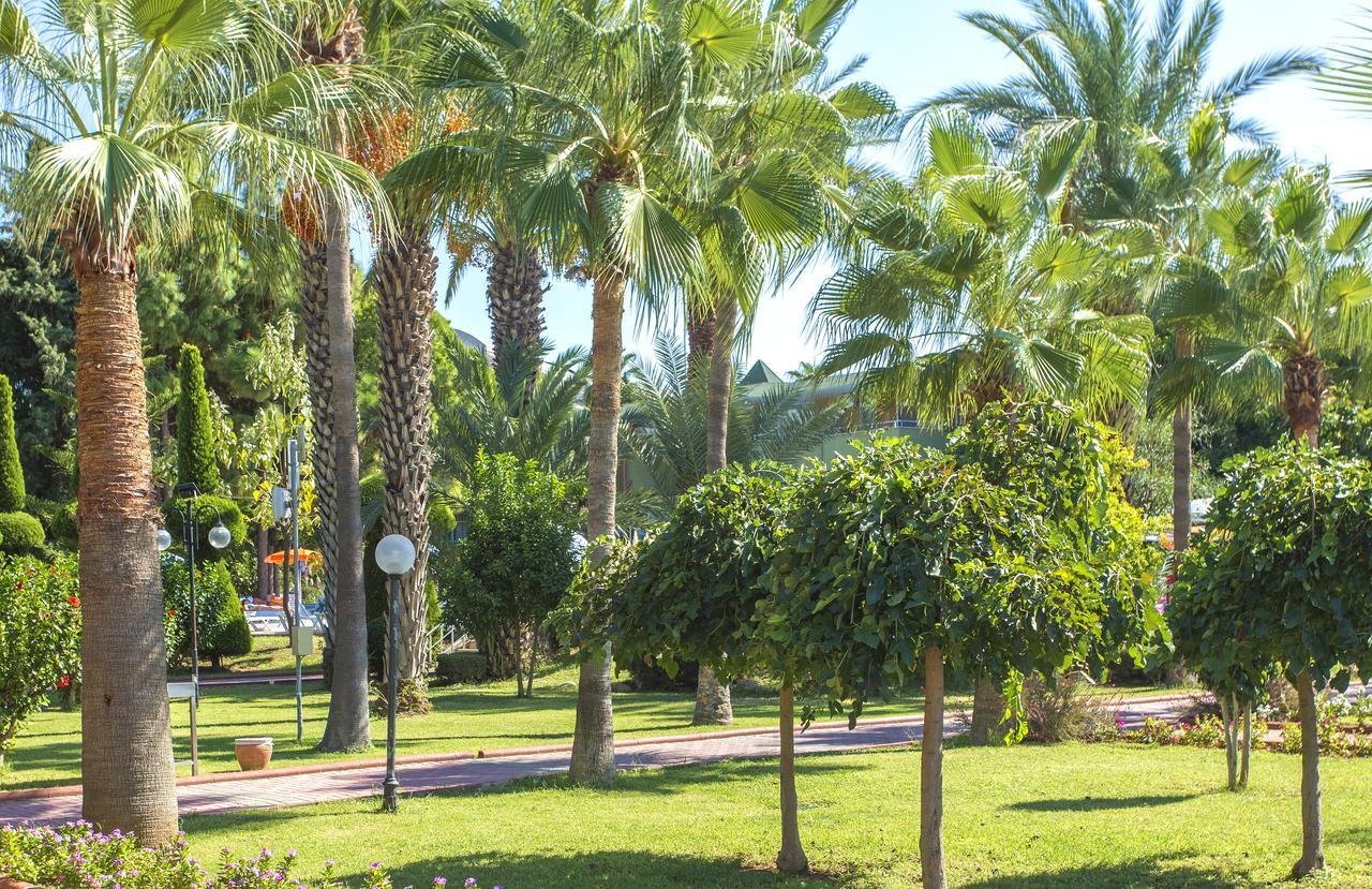 Lonicera World Resort&Spa Hotel - Ultra All Inclusive Avsallar Exteriör bild